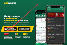 Tout savoir sur Betwinner  paris sportifs et jeux d'argent en ligne